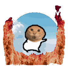 meme burning
